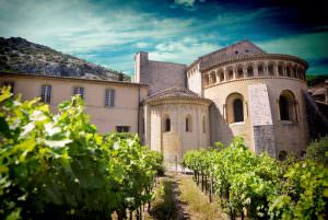 Vignes devant l'abbaye de Gellone à Saint-Guilhem le Désert