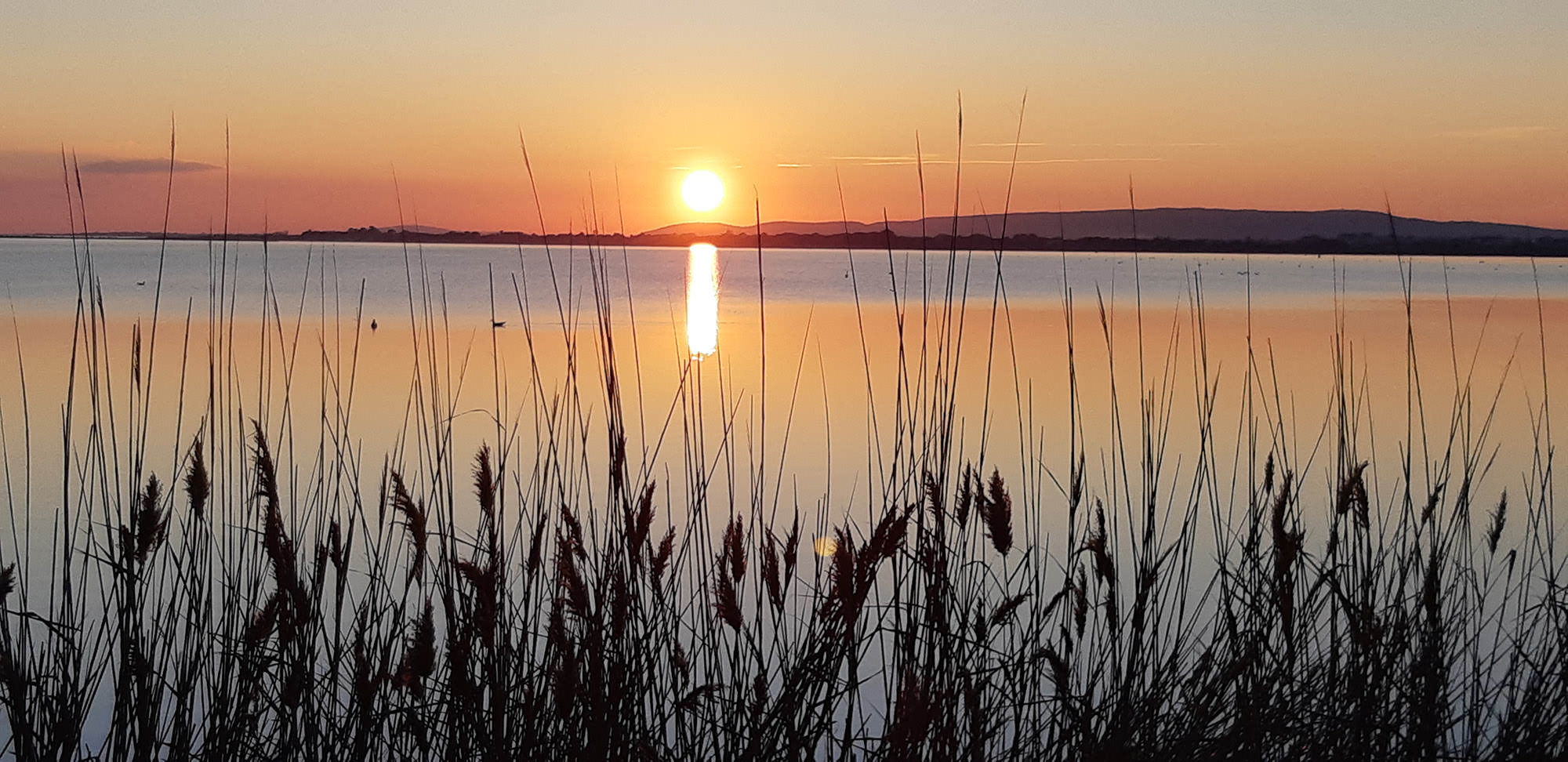 Coucher de soleil sur l'étang de l'Arnel