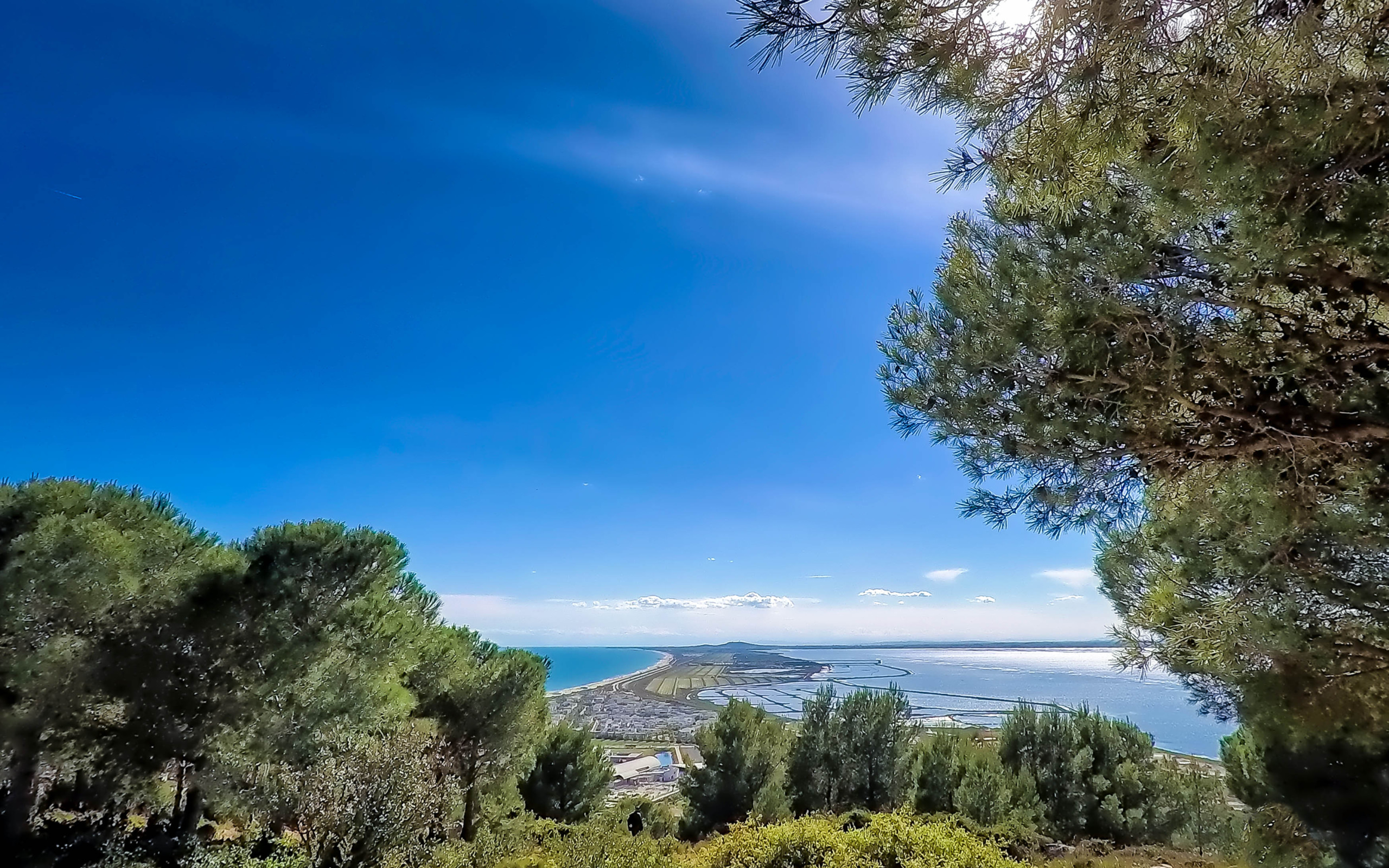 Vue sur le lido entre Sète et Marseillan depuis la forêt des Pierres Blanches à Sète