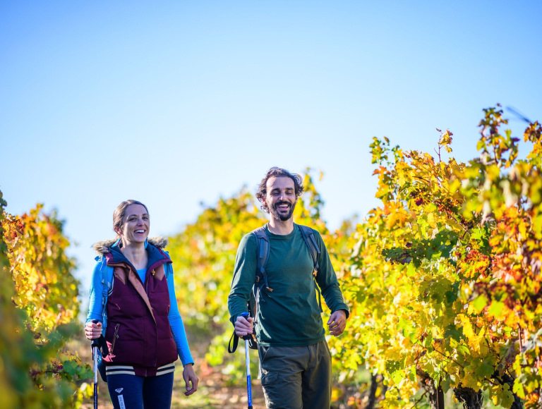 Un couple se balade en randonnée dans les vignes en automne