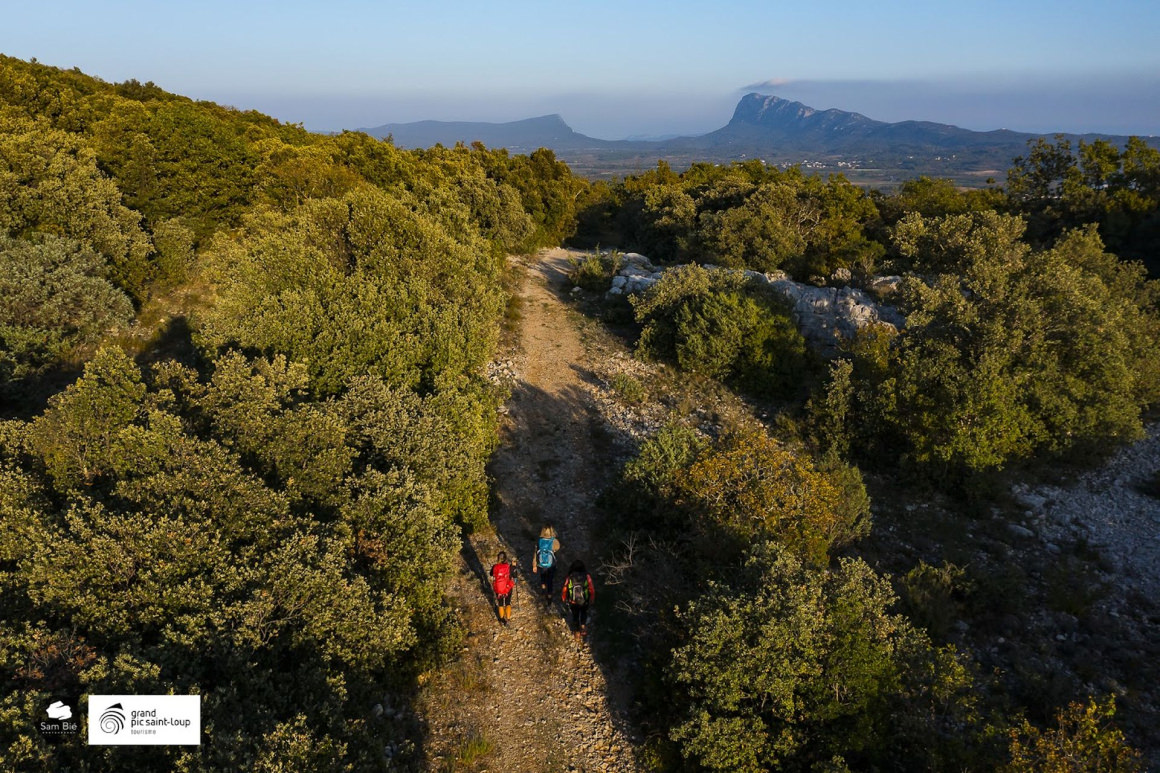 Trois amies randonnent sur le GRP Tour des Londres à la Buèges, avec en toile de fond le Pic Saint-Loup et l'Horthus