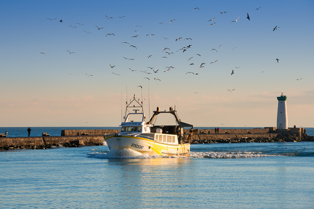 Chalutiers de retour de pêche au grau d'Agde