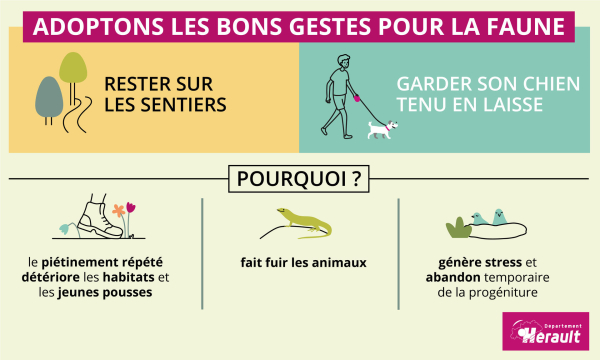 10515_304_Adoptons-les-bons-gestes-faune