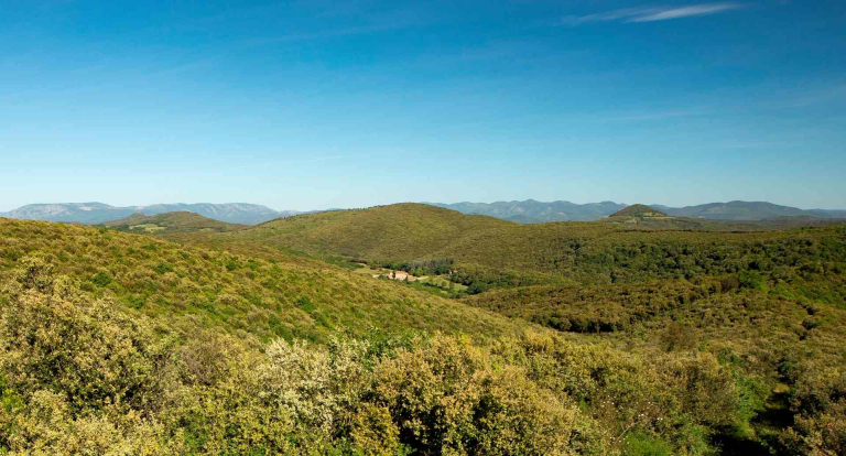 Vue aérienne du Domaine de Pouzes