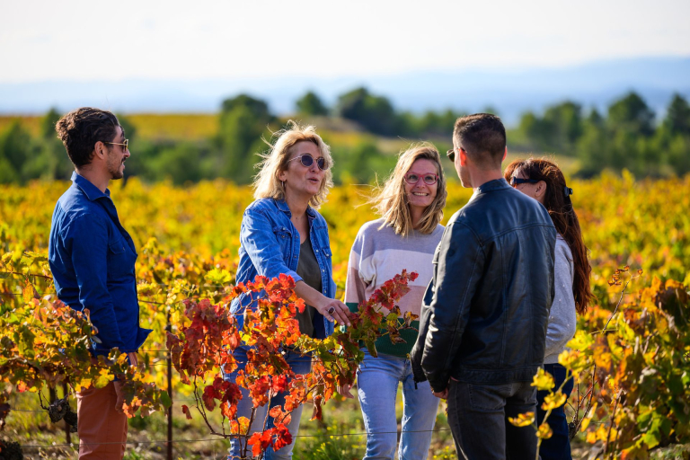 un groupe d'amis se balade dans le vignoble de l'abbaye de Valmagne à Villeveyrac