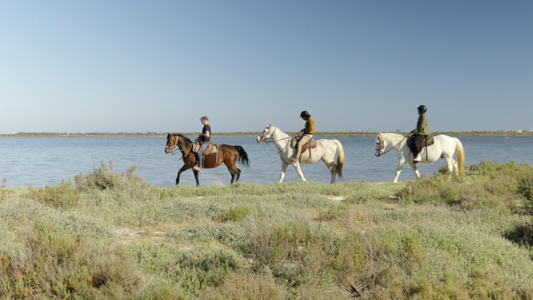 Salins de Frontignan à Cheval