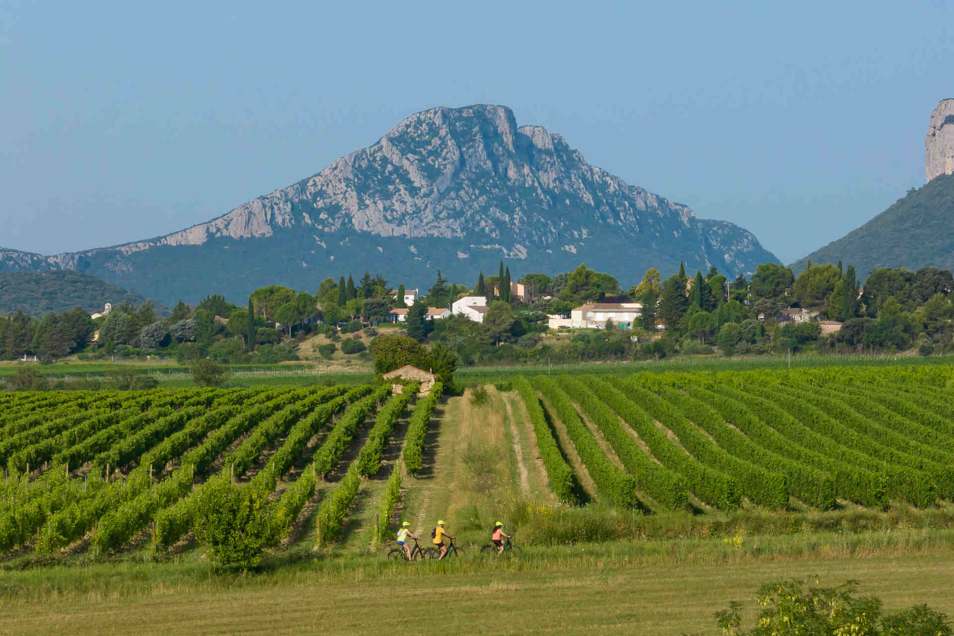 Pic Saint Loup