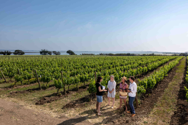 2 jeunes gens qui visitent le vignoble de la cathédrale de Maguelone