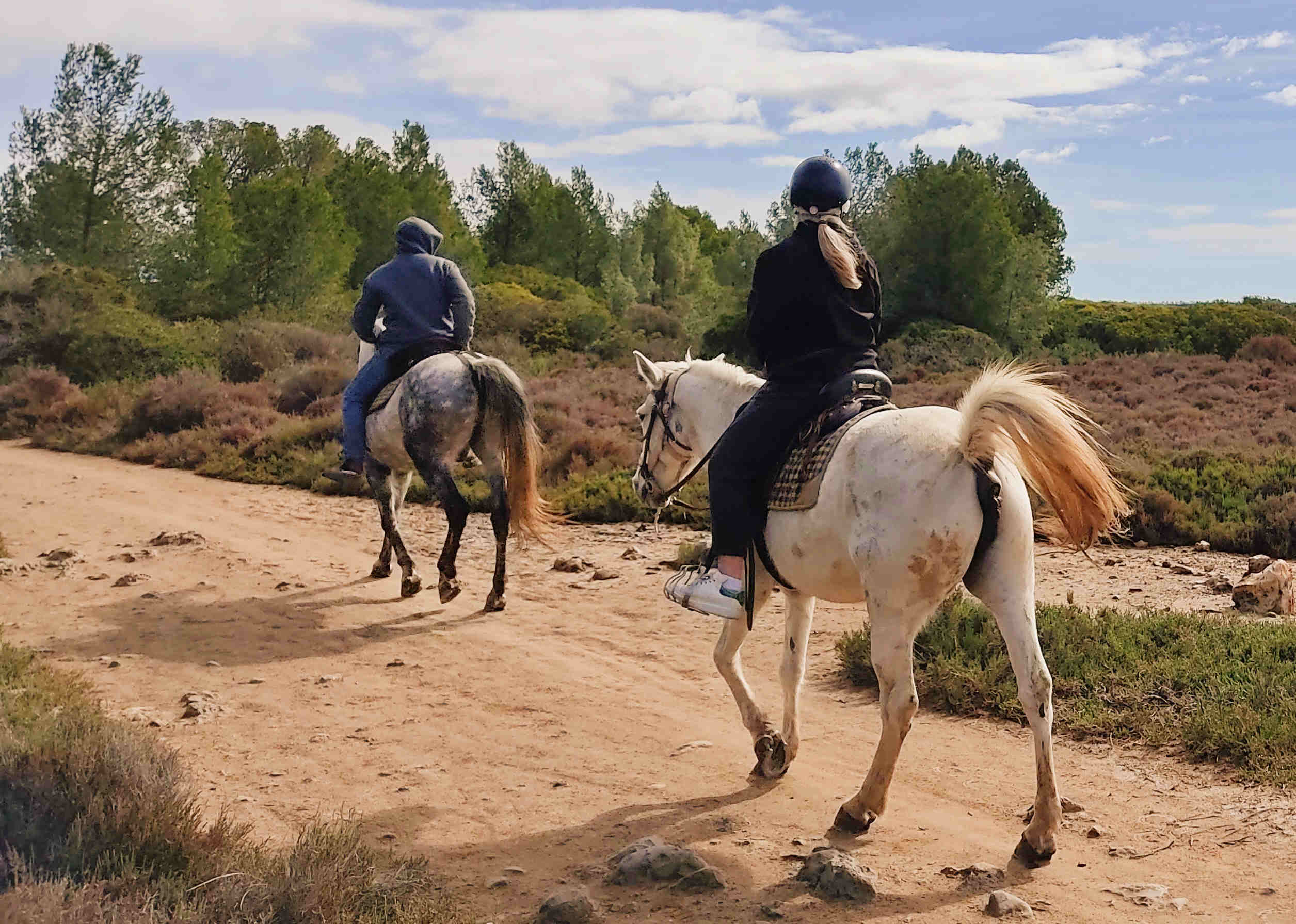 Balade à cheval