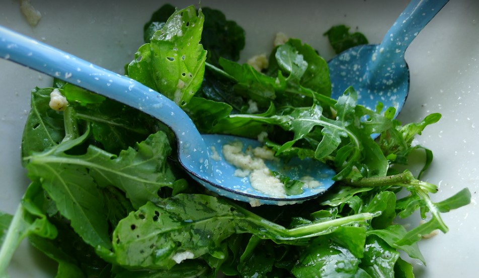 Roquette et pourpier sauvage en salade