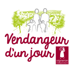 Logo de l'évènement "Vendangeur d'un jour"